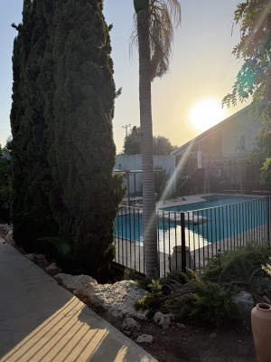 המלצה על בר אור צילום