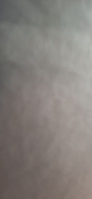 המלצה על בר אור צילום