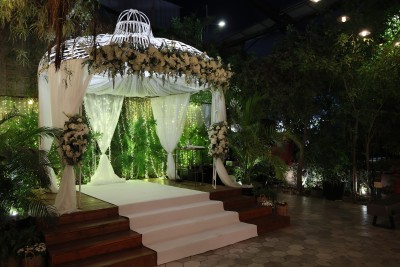 המלצה על גרייס 