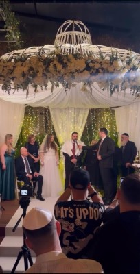 המלצה על גרייס 