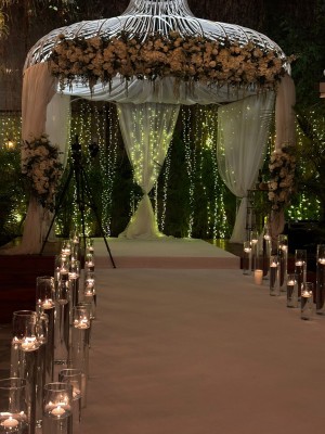 המלצה על גרייס 