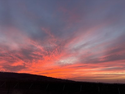 המלצה על הרמוזו 