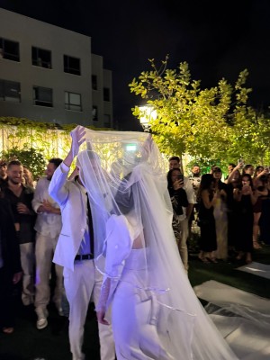 המלצה על בראשית צילום