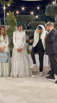 המלצה על בראשית צילום