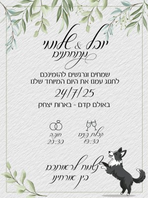 המלצה על בראשית צילום