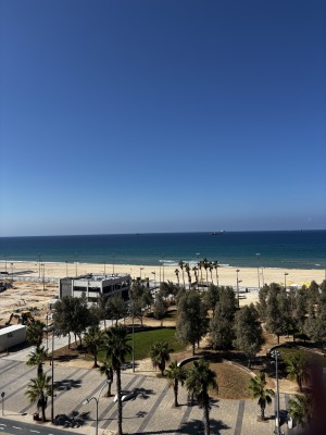 המלצה על בראשית צילום