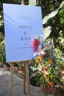 המלצה על בראשית צילום