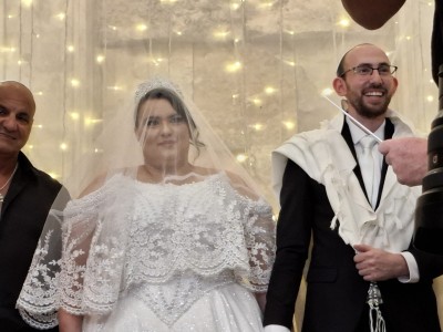 המלצה על בראשית צילום