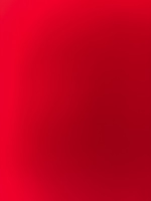 המלצה על בראשית צילום