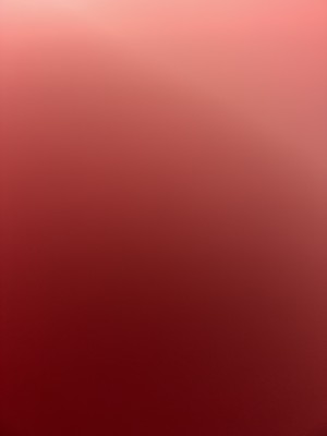 המלצה על בראשית צילום