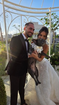 המלצה על בראשית צילום