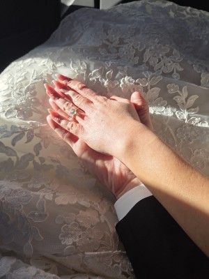 המלצה על בראשית צילום