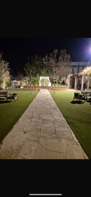 המלצה על בראשית צילום