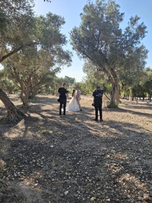 המלצה על בראשית צילום