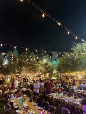 המלצה על בראשית צילום