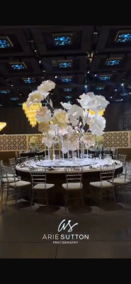 המלצה על אווניו