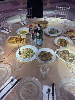 המלצה על אווניו