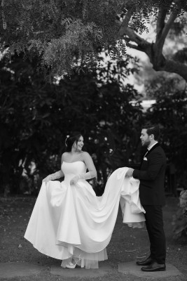 המלצה על אווניו