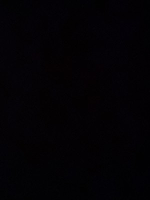 המלצה על אווניו