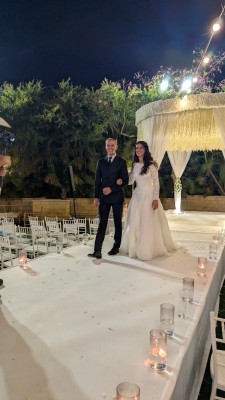 המלצה על אווניו