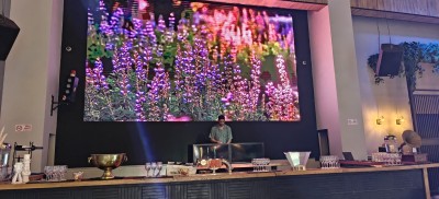 המלצה על בדולינה