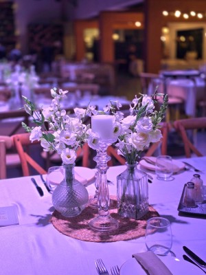 המלצה על אמורה