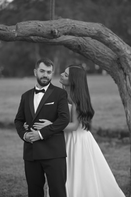 המלצה על קדיתא