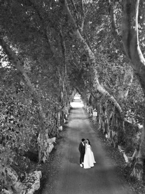 המלצה על פלאשבק צלמים