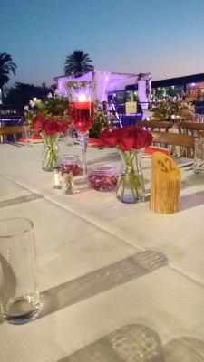 המלצה על מאור הפקות