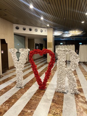 המלצה על מאור הפקות