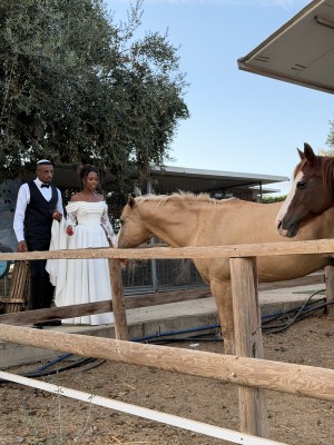 המלצה על פלינה