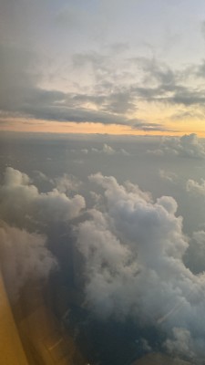 המלצה על מרקו סיטי מותגים