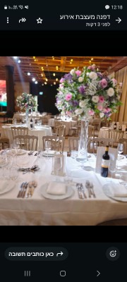 המלצה על דפנה עיצובים