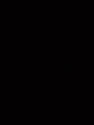 המלצה על הרב משה בובי