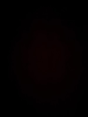 המלצה על הרב משה בובי