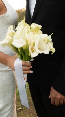 המלצה על הרב משה בובי