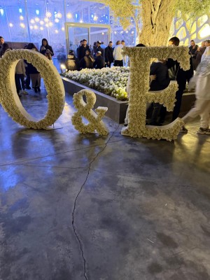 המלצה על  מג'יק נייט