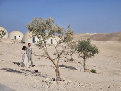 המלצה על ליאור כפיר