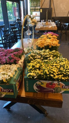 המלצה על אולם פרחים