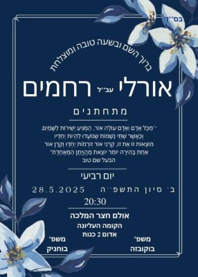 המלצה על דיגיי משה בי