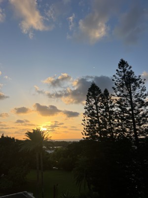 המלצה על הרב נריה כהן