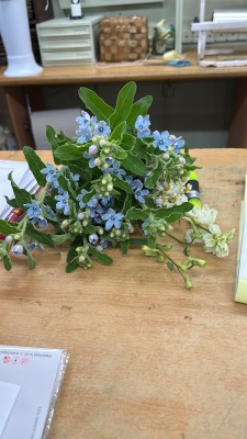 המלצה על גאיה נס ציונה