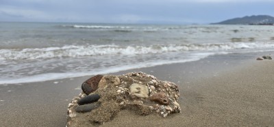 המלצה על גילי גלעדי