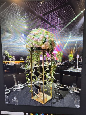 המלצה על אמדו 