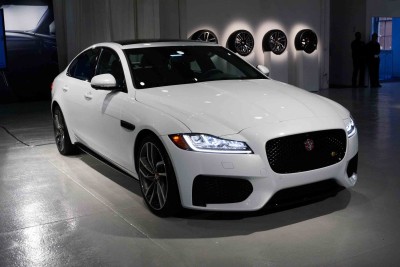 השכרת רכב JAGUAR XF לחתונה