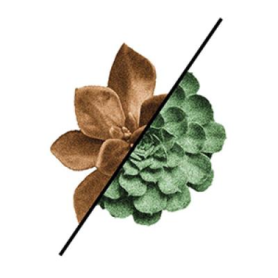 קדם אירועים