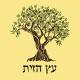 עץ הזית הפקות