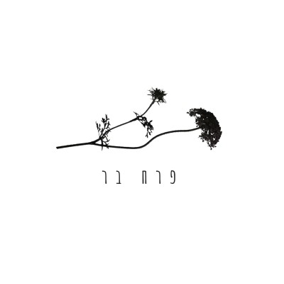 פרח בר